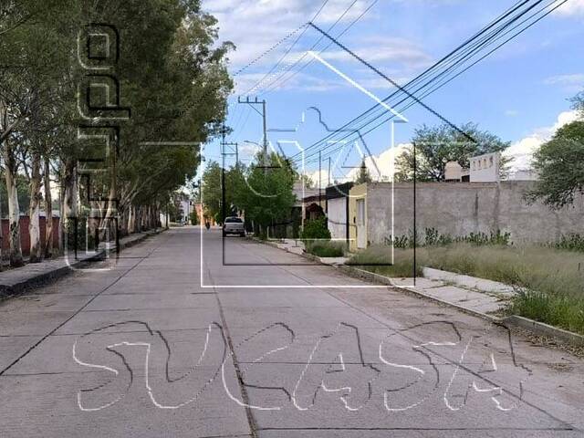 #15 - Área para Venta en Jerez - ZS - 2