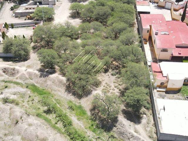 #17 - Área para Venta en Jerez - ZS - 2