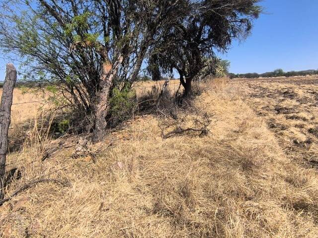 Quinta para Venta en Jerez - 4