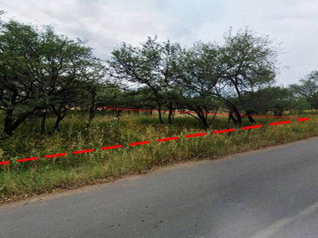Terreno para Venta en Jerez - 2